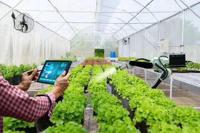 Business professional using tablet